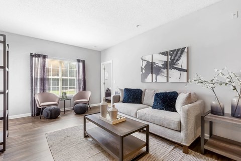 St. Ives Crossing apartments in Stockbridge Georgia photo of living room with natural lighting